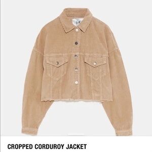 Zara/trf tan corduroy crop jacket